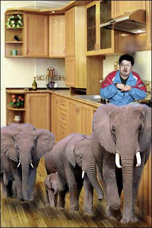 Это ходят слоники cлоники на кухне... - Махмуд Отар-Мухтаров